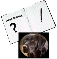 Dear Dakota